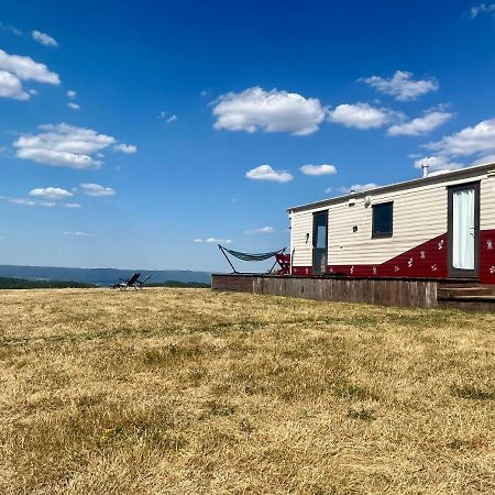 Mountaintop Panoramaview Casa In Bihor Apuseni 克里什河畔瓦杜 外观 照片