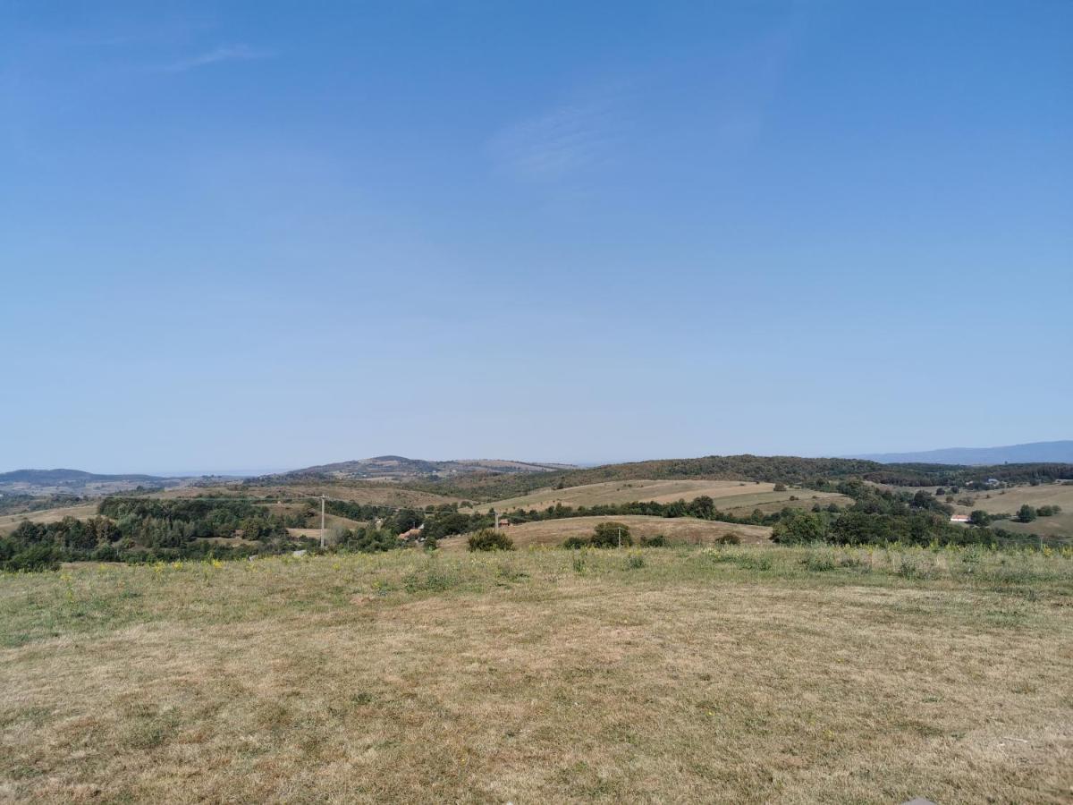 Mountaintop Panoramaview Casa In Bihor Apuseni 克里什河畔瓦杜 外观 照片