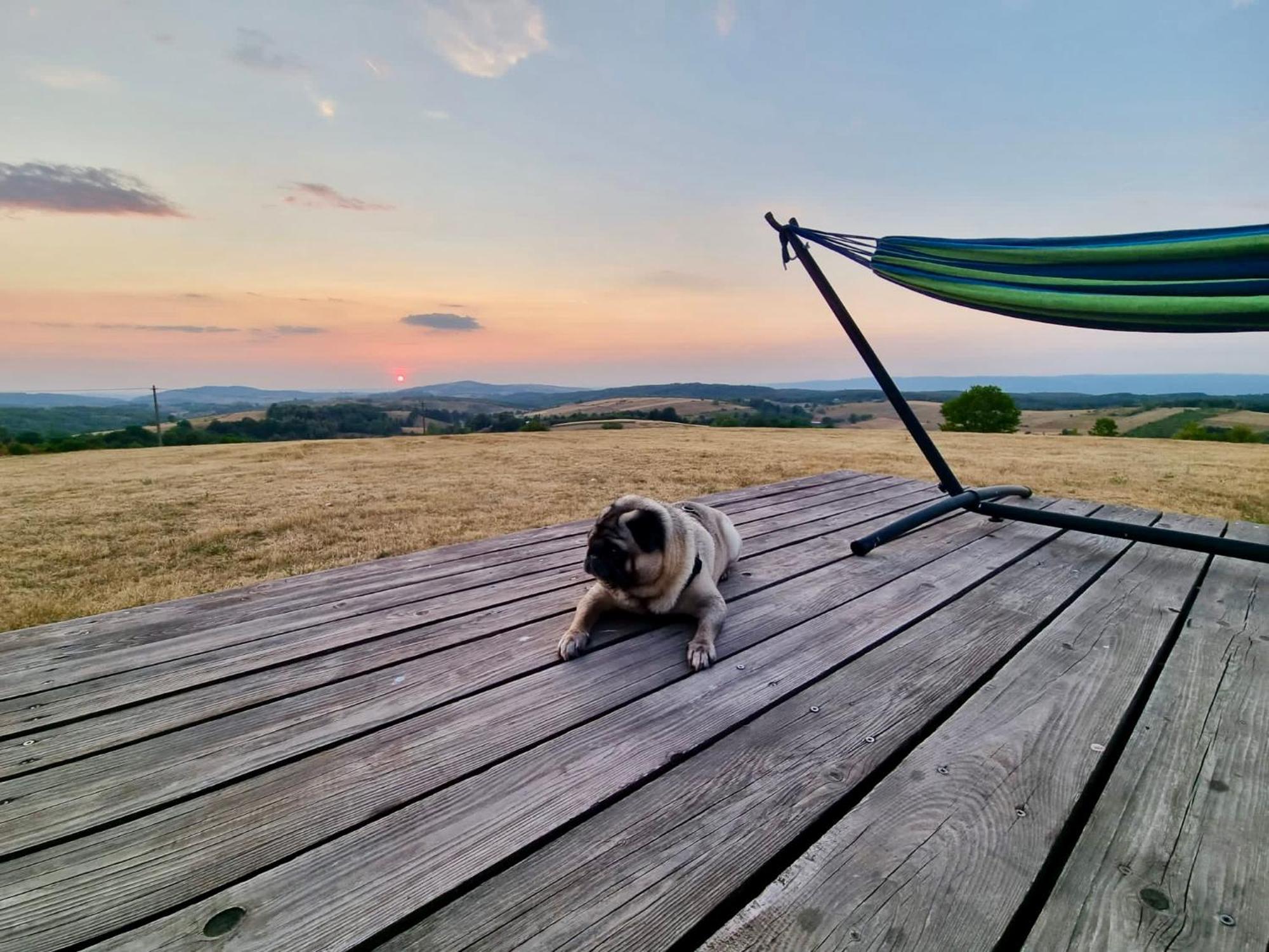 Mountaintop Panoramaview Casa In Bihor Apuseni 克里什河畔瓦杜 外观 照片